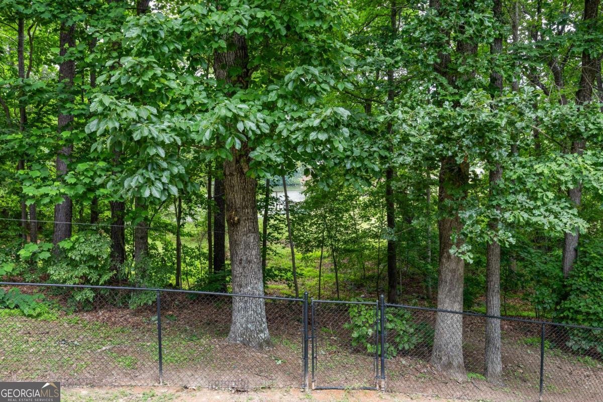 2990 Cove Crossing Drive Lawrenceville - 63