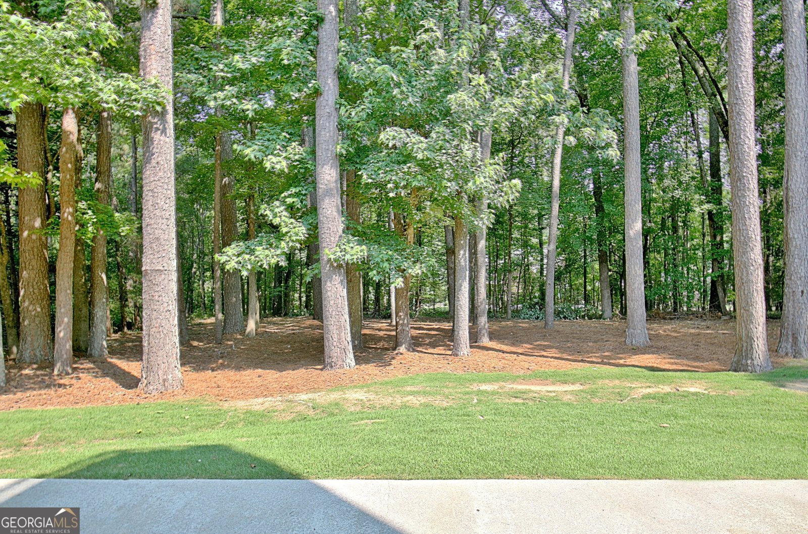 185 Newfield Drive Tyrone - 40