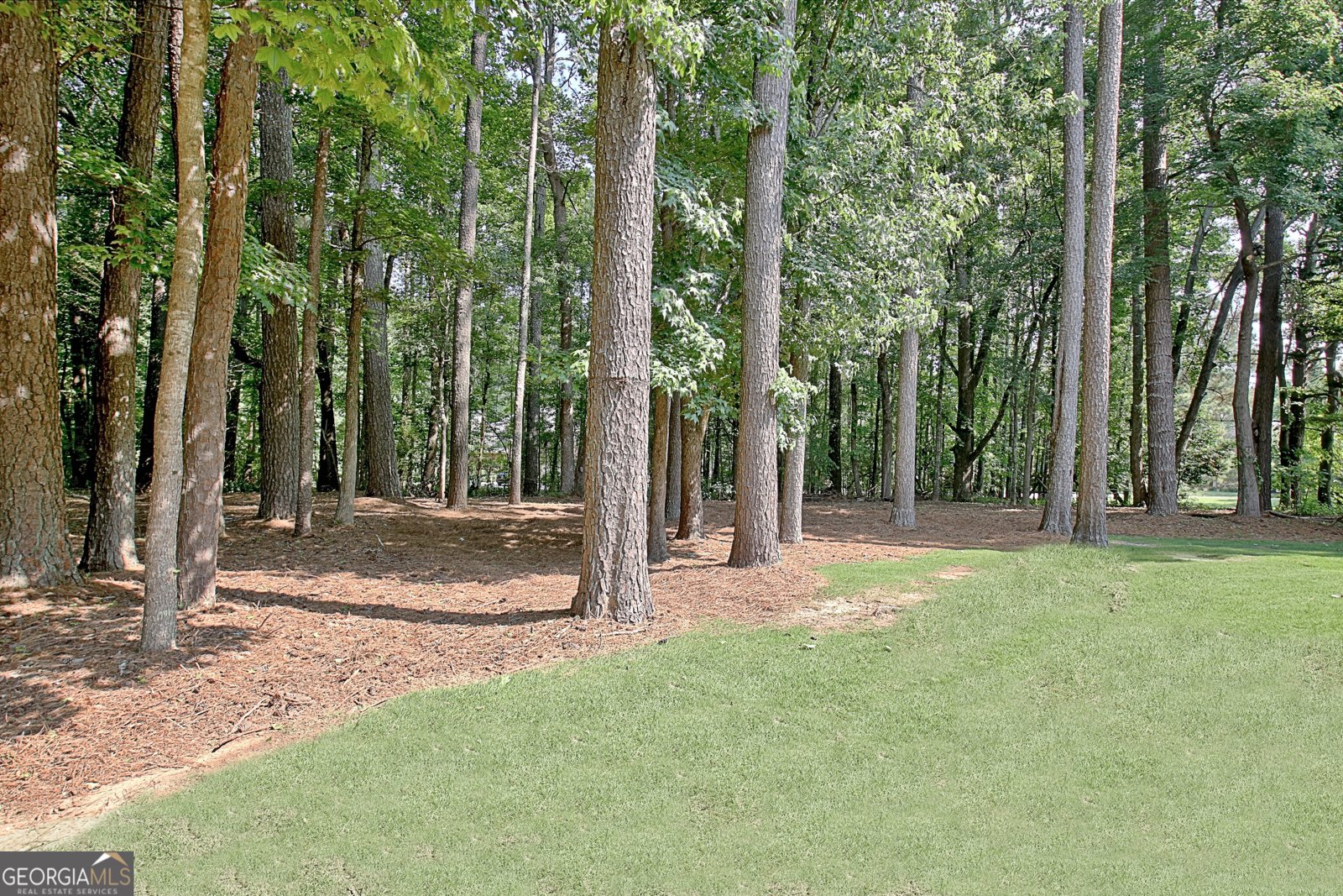 185 Newfield Drive Tyrone - 85