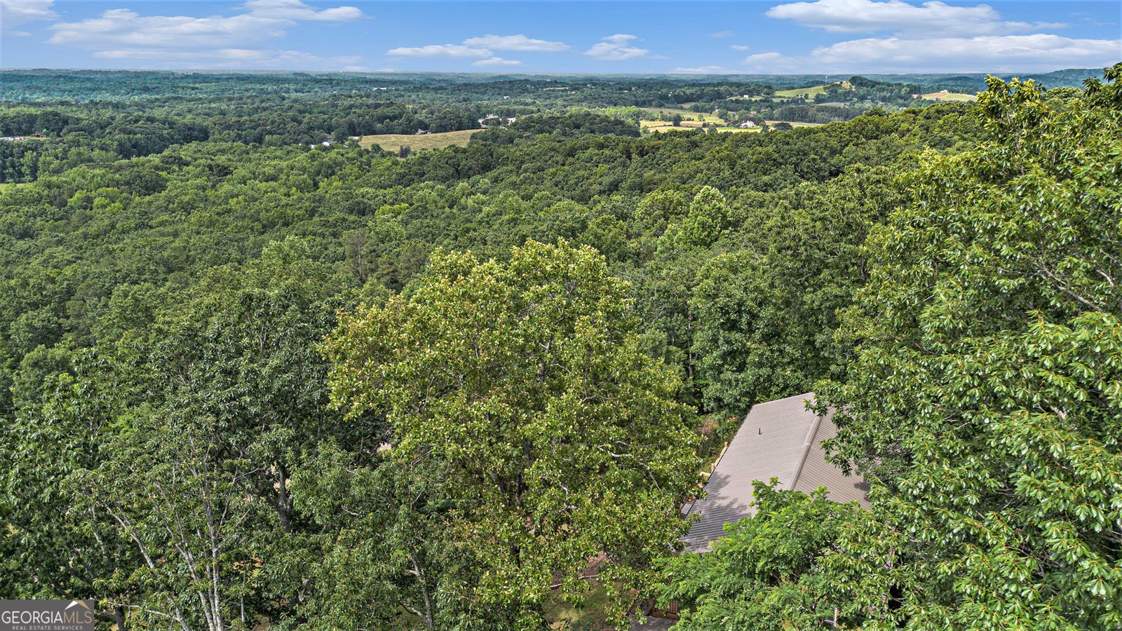 675 Wauka Ridge Road Clermont - 15