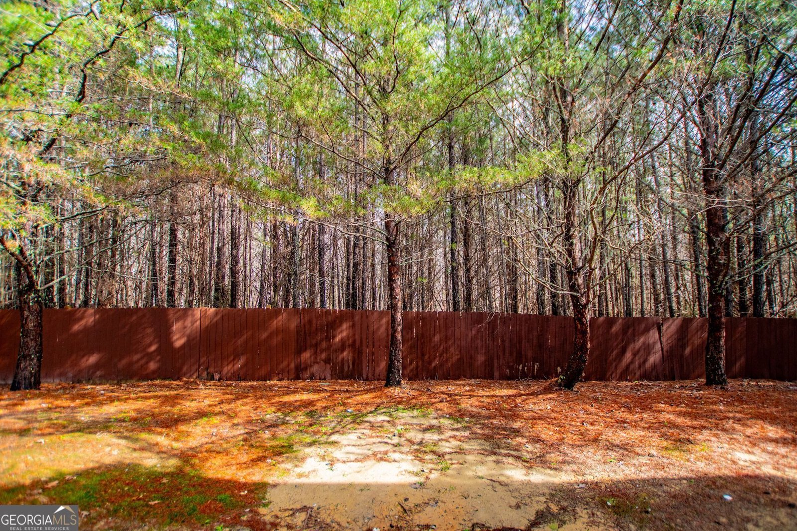 2326 Bigwood Trail Atlanta - 48