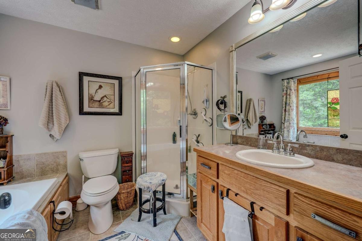 242 Noelle Lane Dahlonega - 23