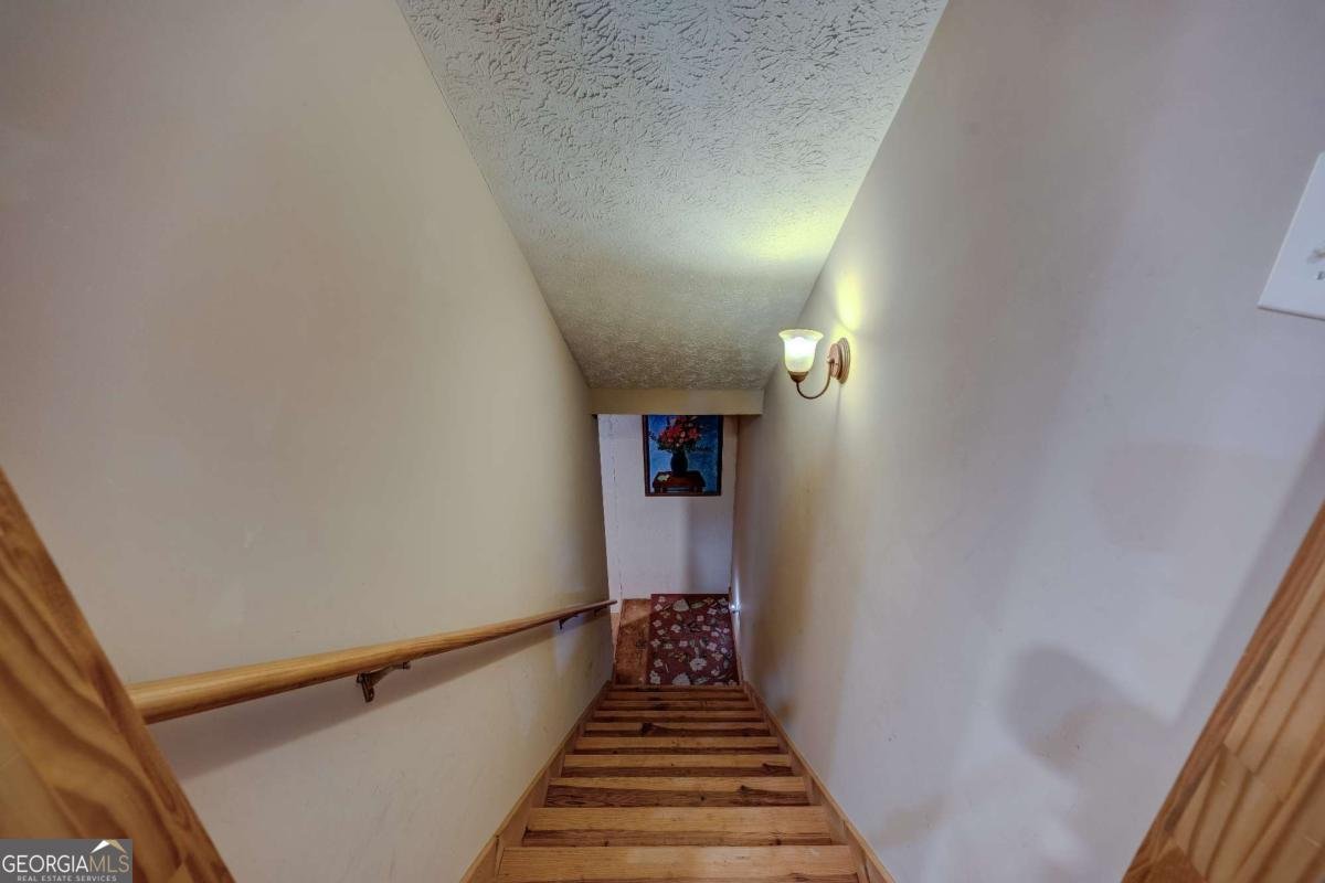 242 Noelle Lane Dahlonega - 31
