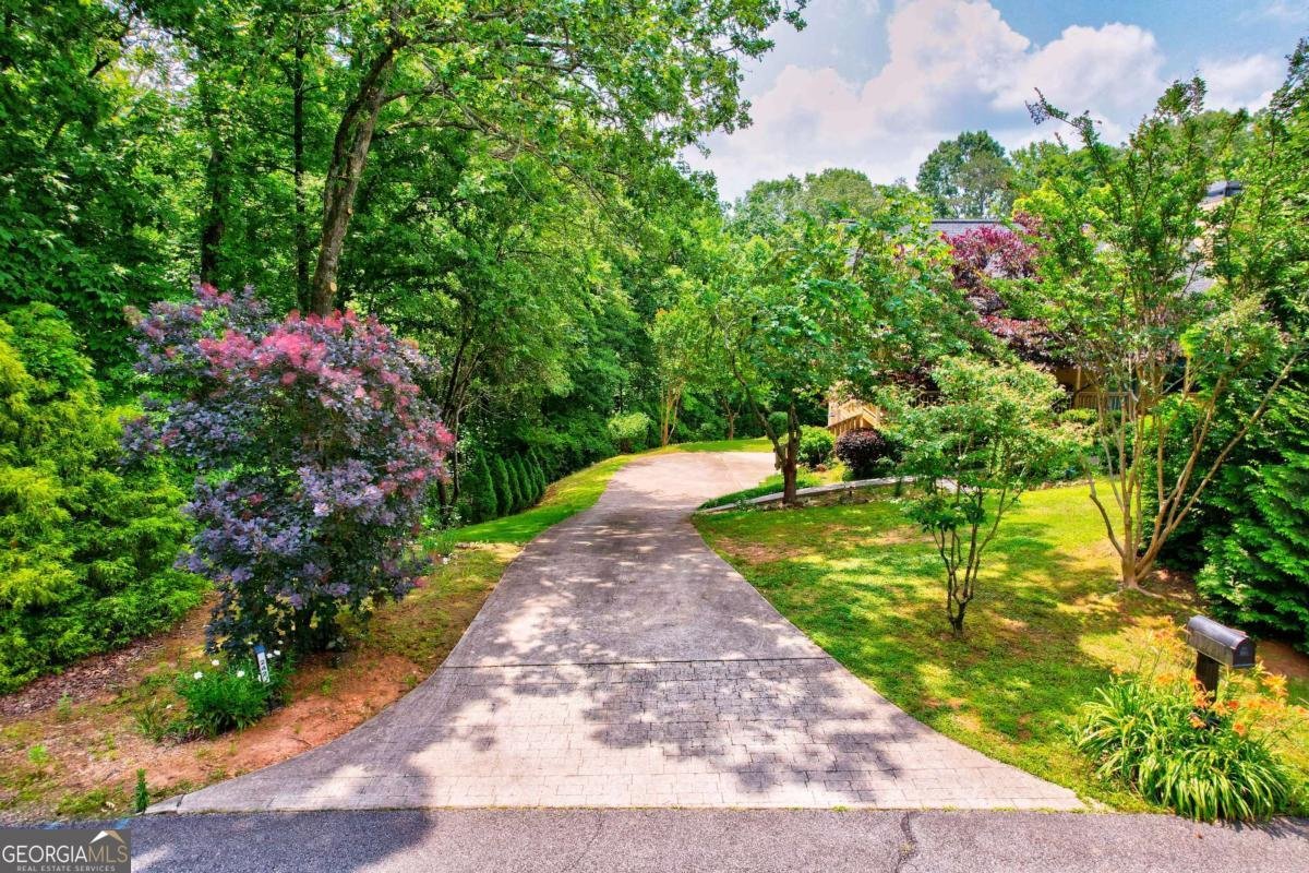 242 Noelle Lane Dahlonega - 4