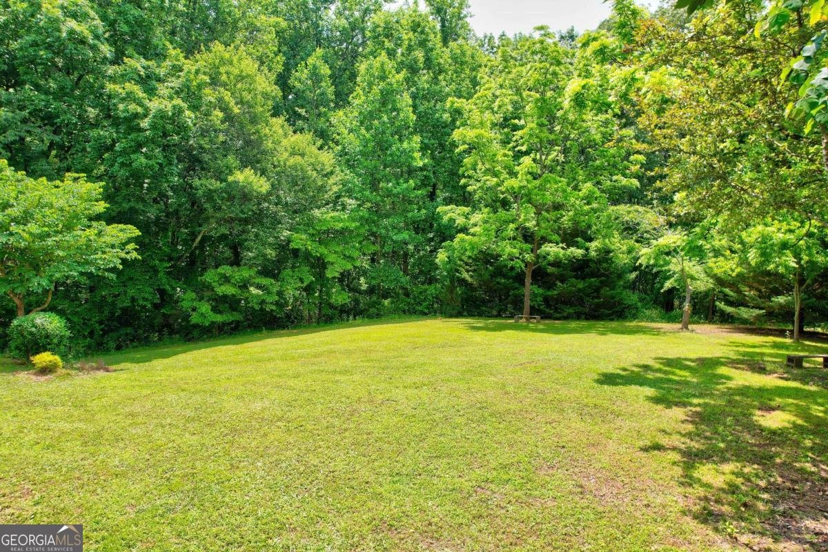 242 Noelle Lane Dahlonega - 40