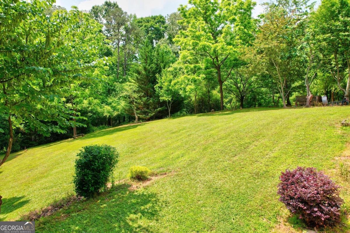 242 Noelle Lane Dahlonega - 43