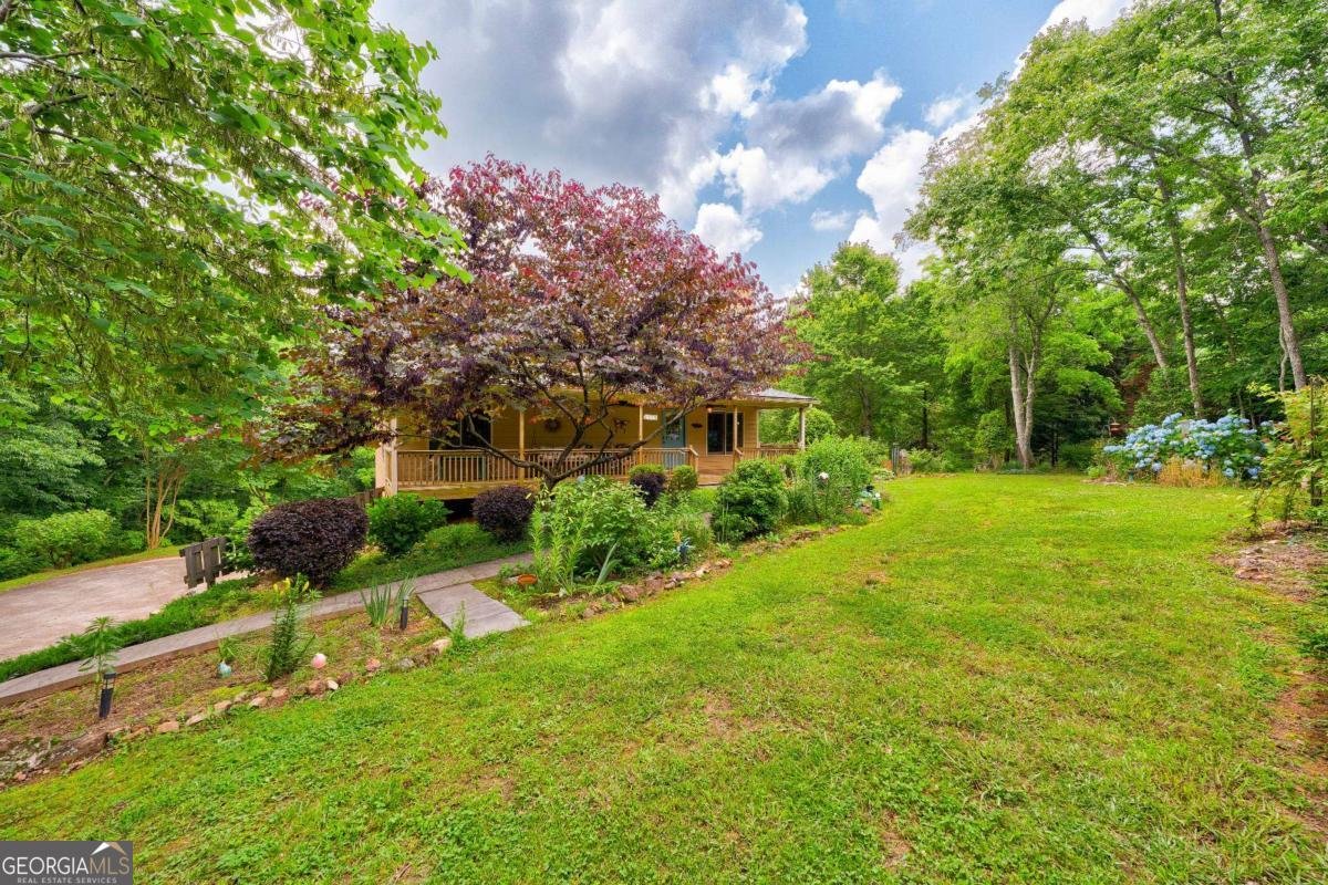 242 Noelle Lane Dahlonega - 45