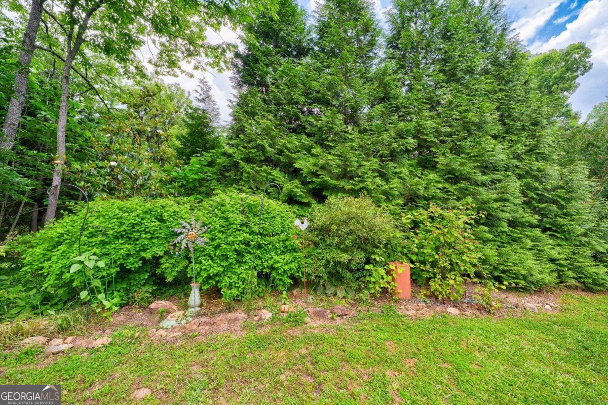 242 Noelle Lane Dahlonega - 48