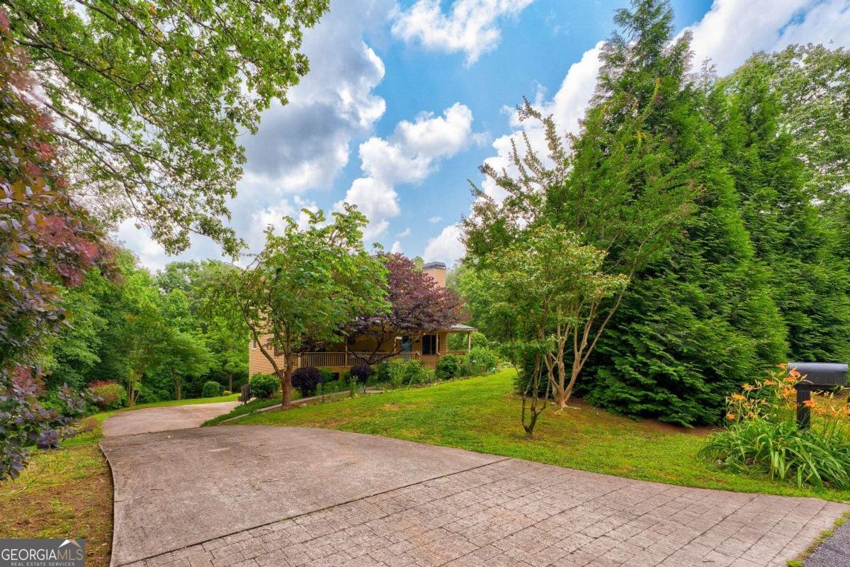 242 Noelle Lane Dahlonega - 5