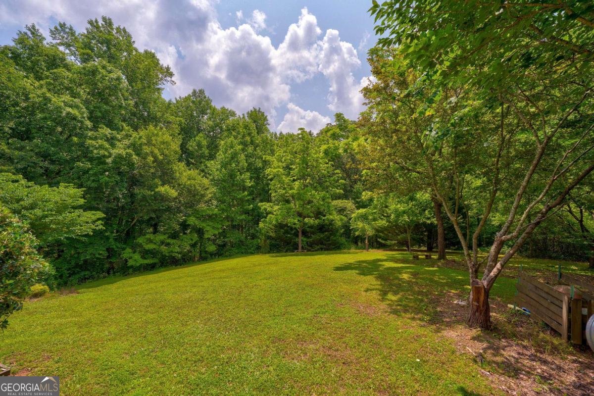 242 Noelle Lane Dahlonega - 50