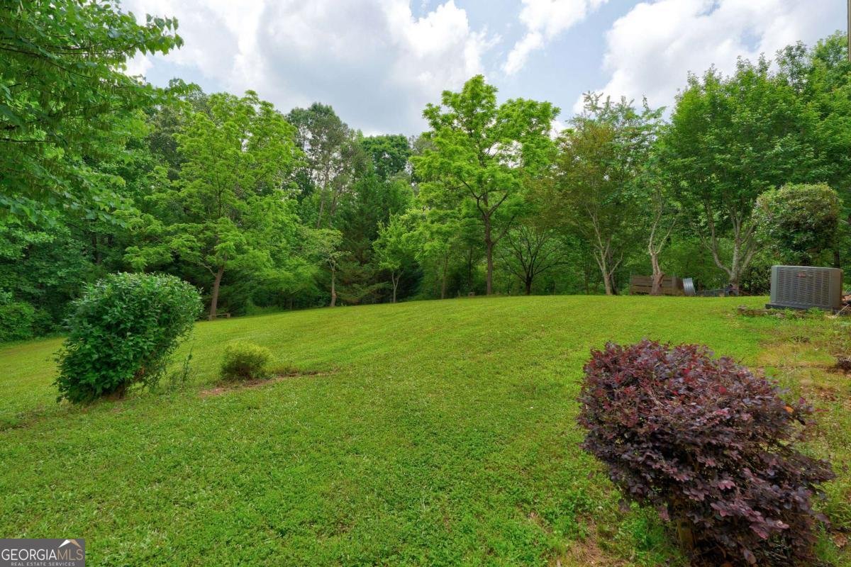 242 Noelle Lane Dahlonega - 51