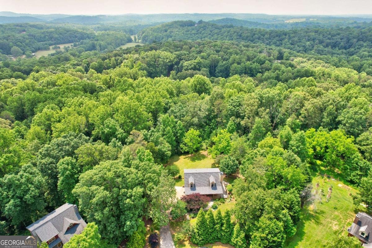 242 Noelle Lane Dahlonega - 54