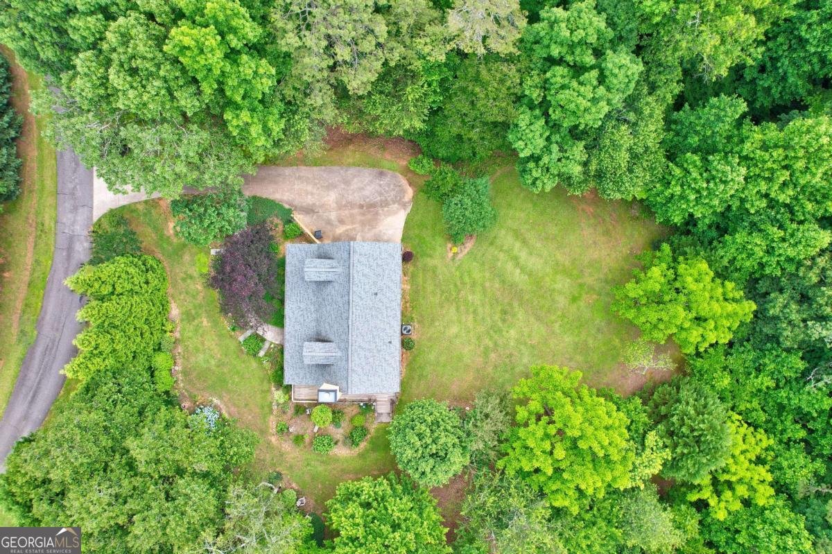242 Noelle Lane Dahlonega - 55