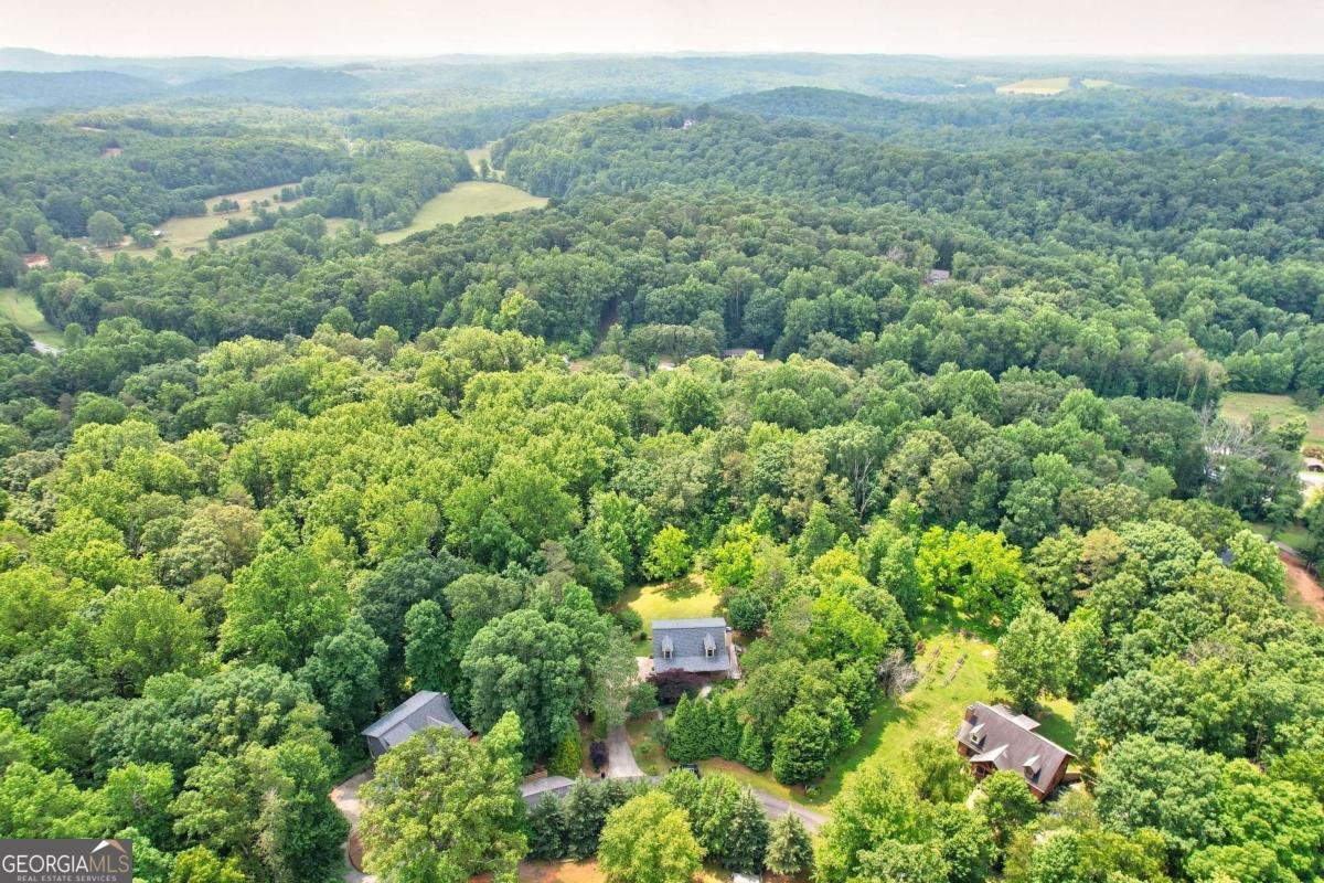 242 Noelle Lane Dahlonega - 56