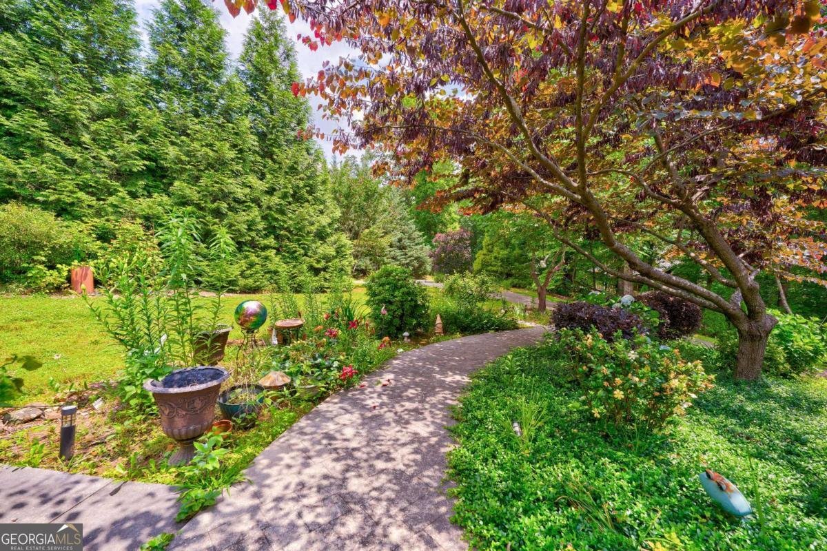 242 Noelle Lane Dahlonega - 8