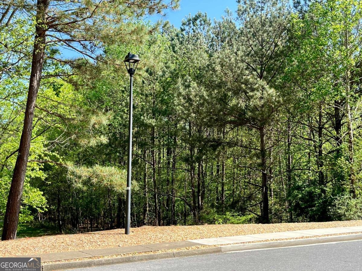 4146 Mcever Park Drive Acworth - 31