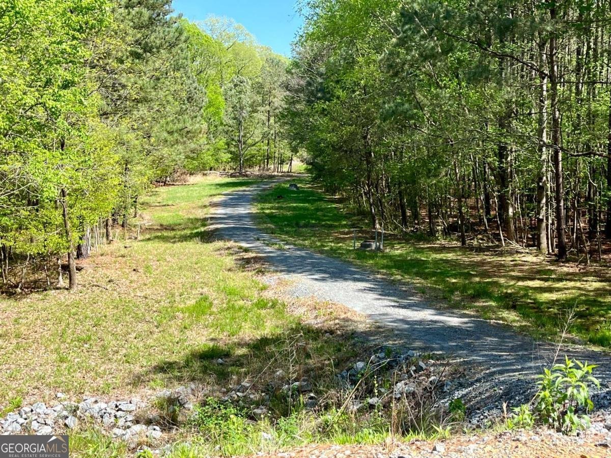 4146 Mcever Park Drive Acworth - 33