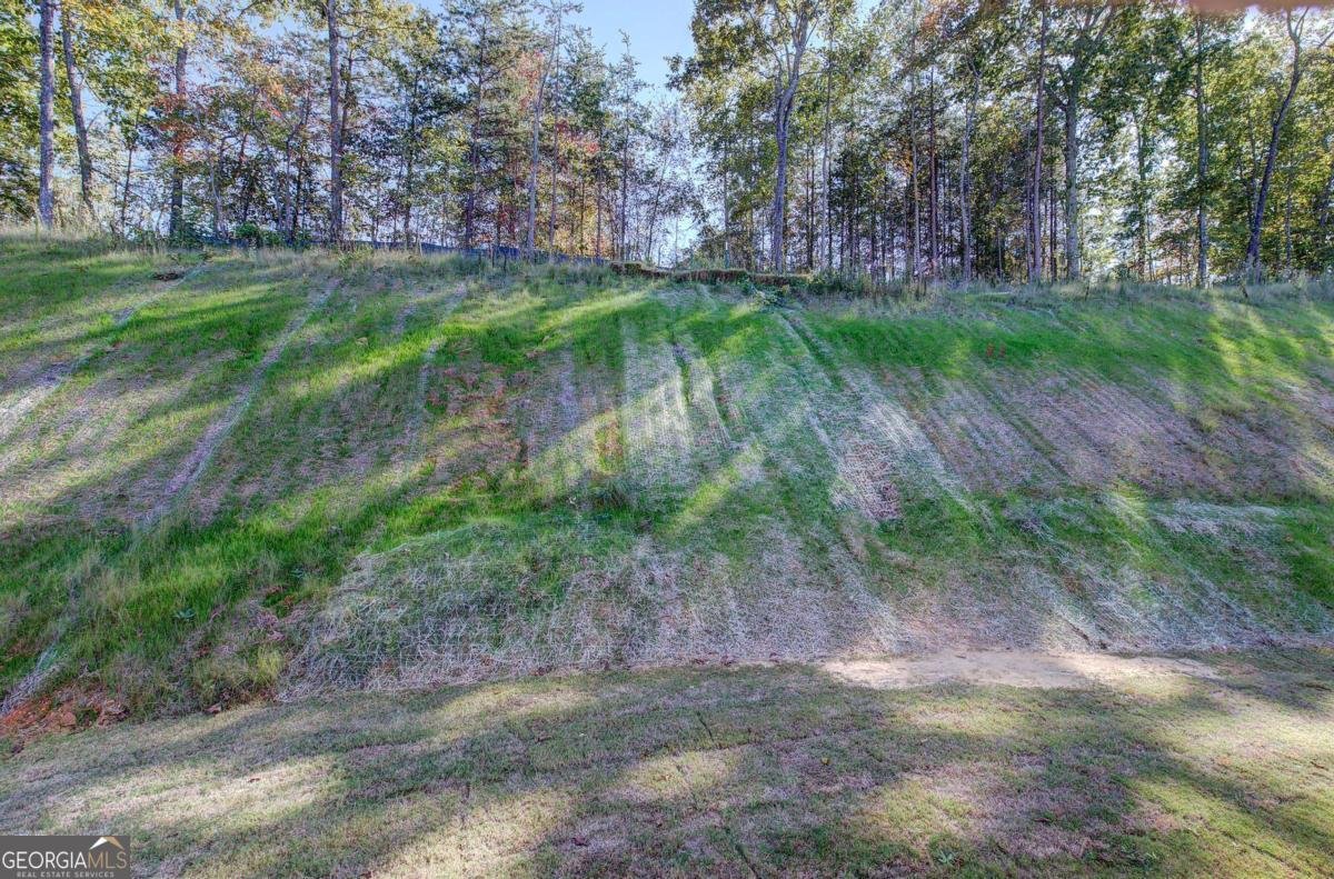 309 Arbor Circle Rockmart - 52