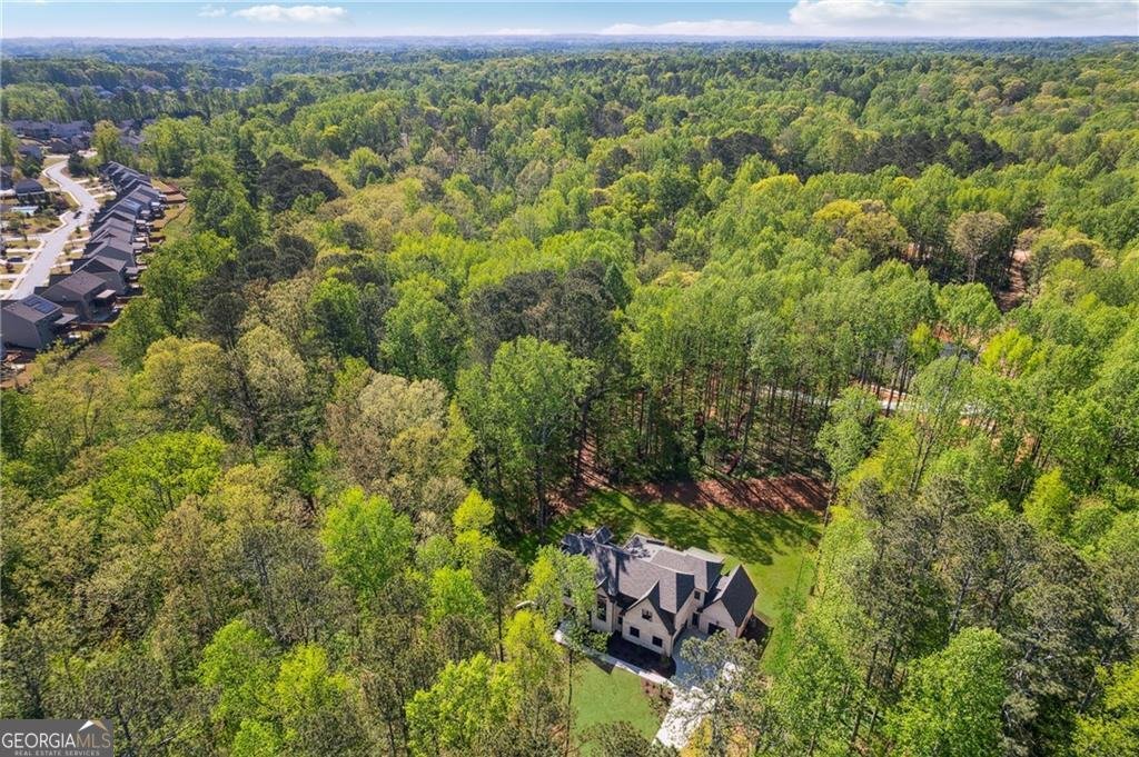4235 Drew Campground Road Alpharetta - 49