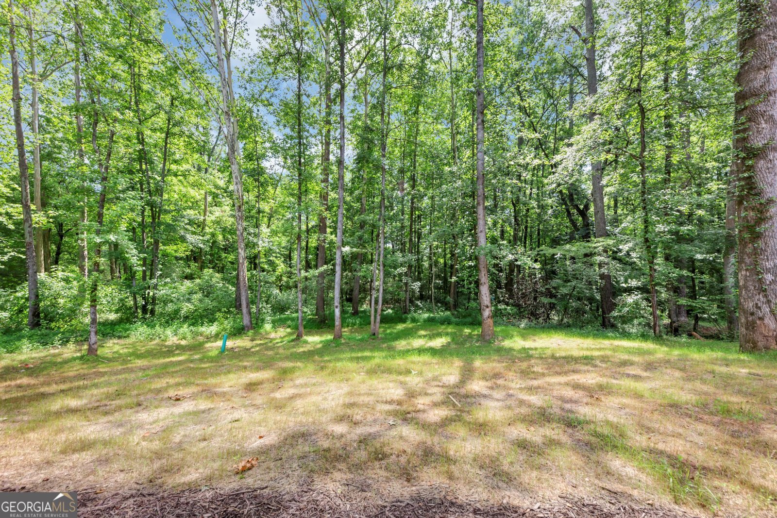 4235 Drew Campground Road Alpharetta - 69