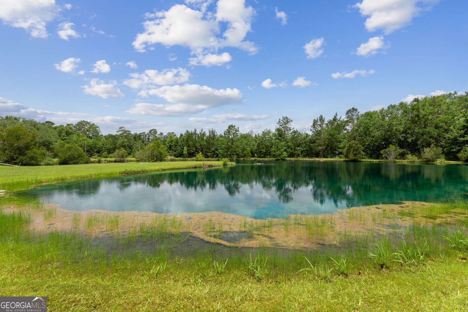 25035 Us Highway 17 Waverly - 32