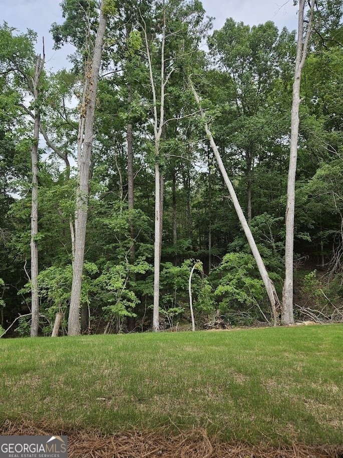 195 Silvercrest Drive Acworth - 48