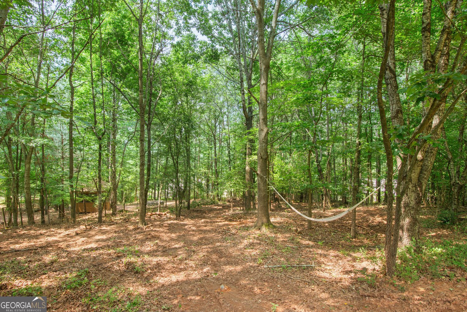 124 Hunters Mill Road Woodstock - 38