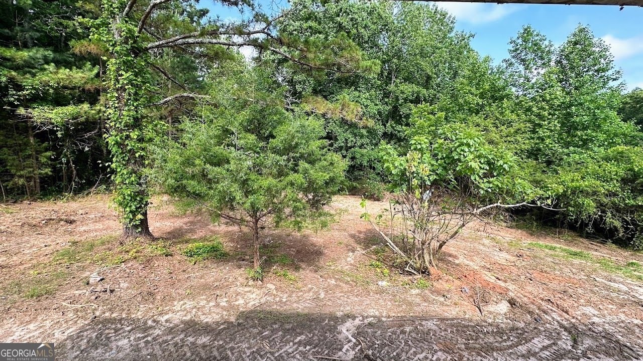 1565 County Road 61 Roanoke - 39