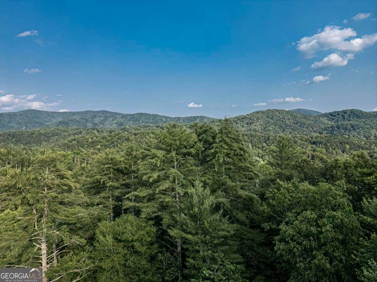9 Dean Court Blue Ridge - 23