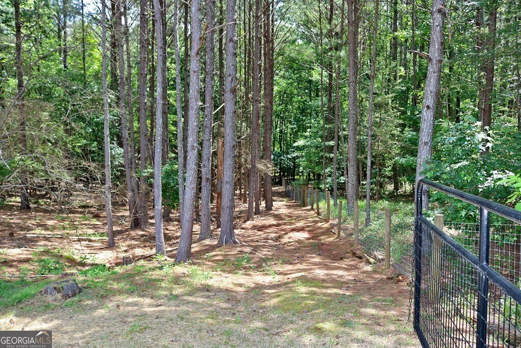 3129 Etchison Road Loganville - 48