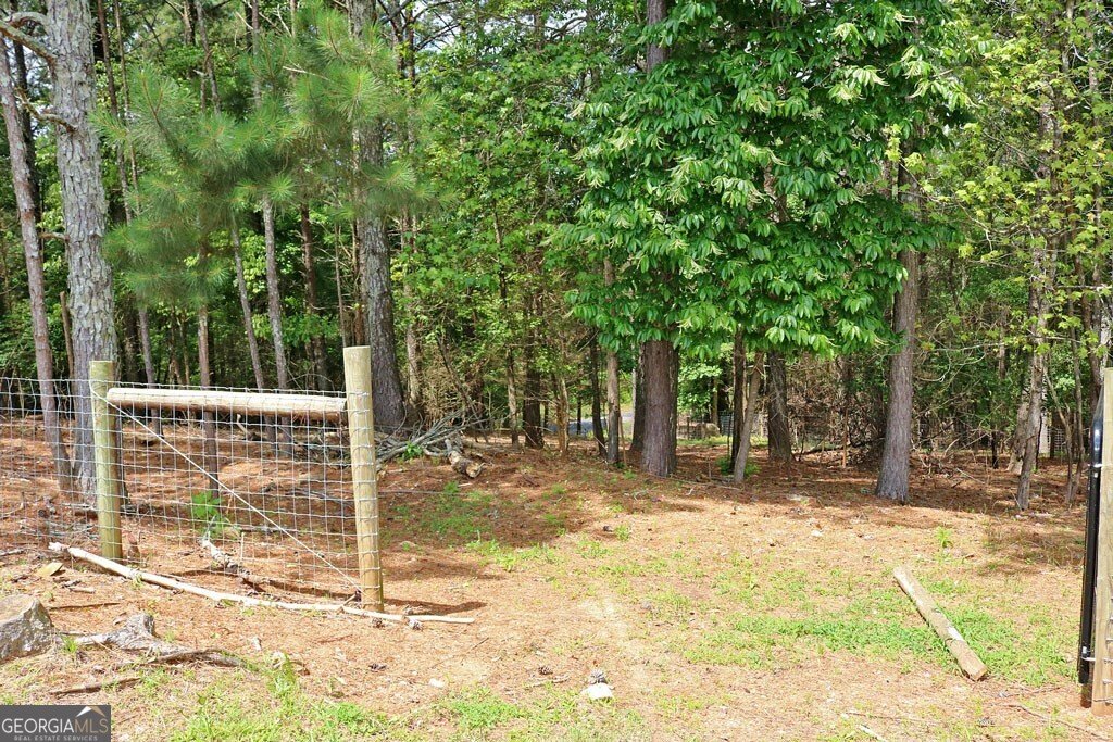 3129 Etchison Road Loganville - 51