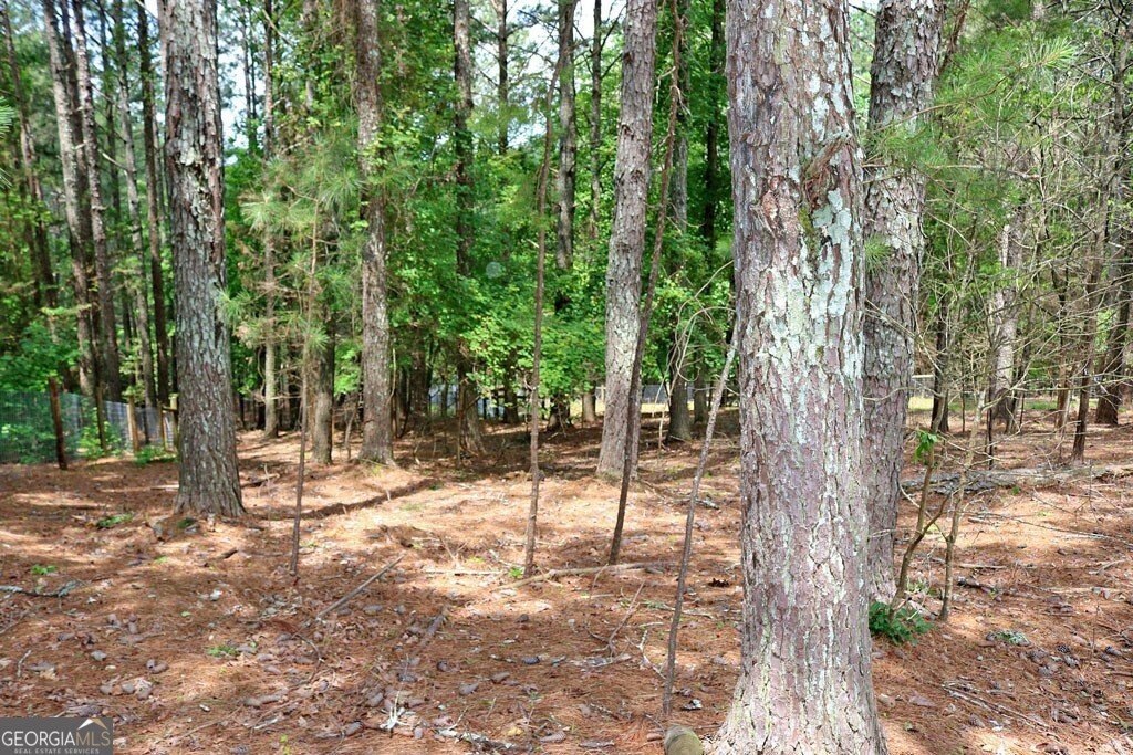 3129 Etchison Road Loganville - 53