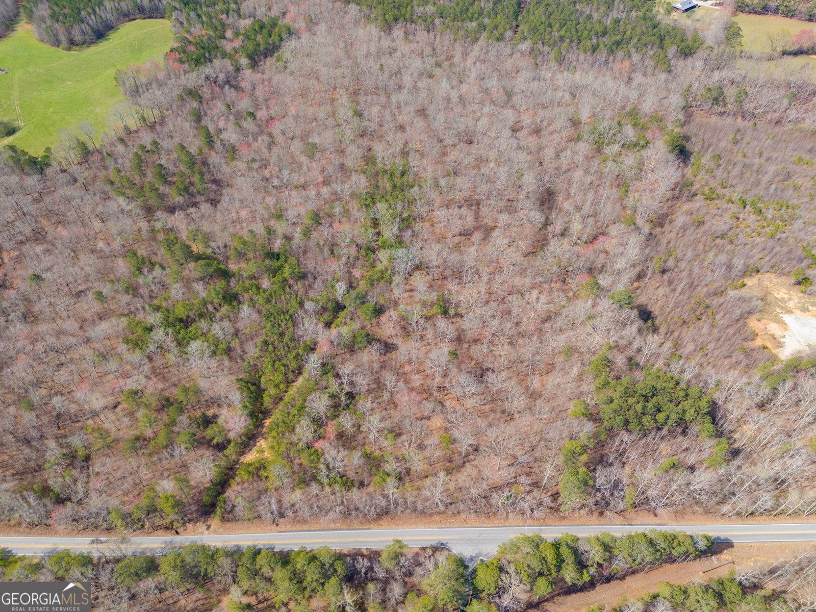 TRACT3 Georgia Highway 100 Buchanan - 48