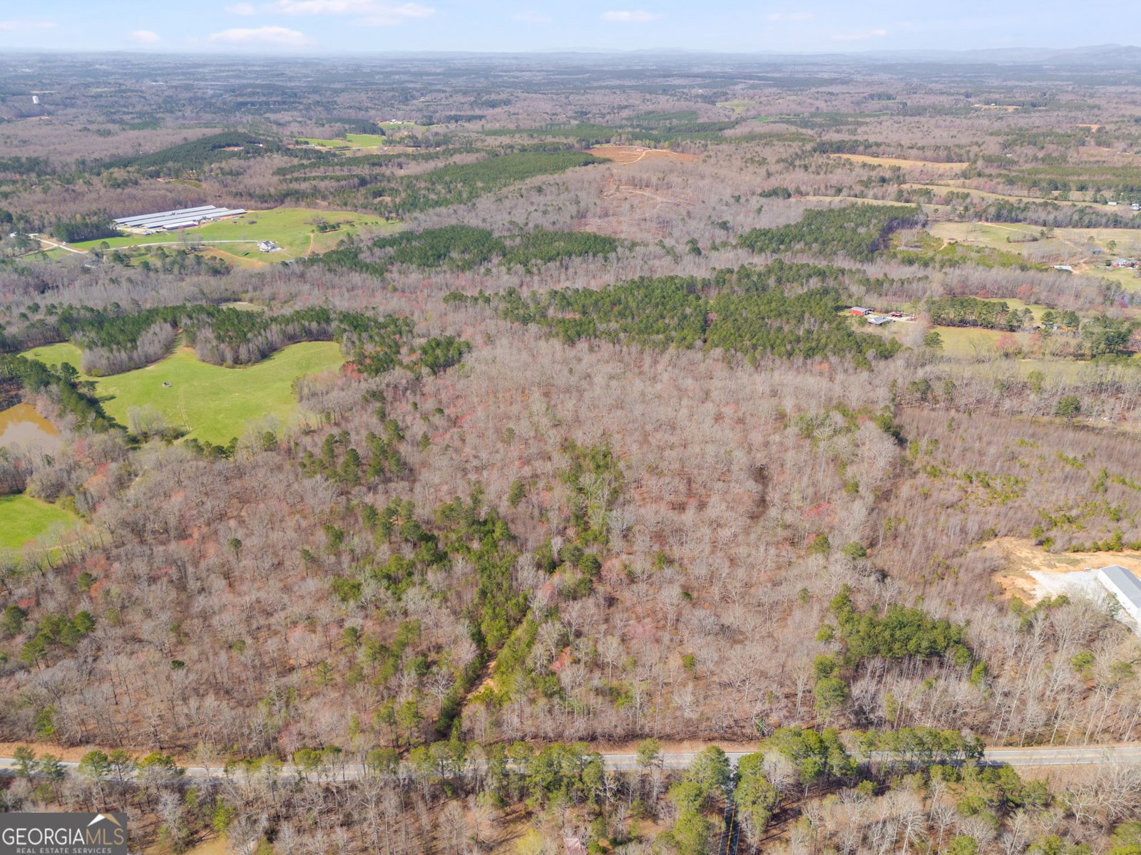 TRACT3 Georgia Highway 100 Buchanan - 49