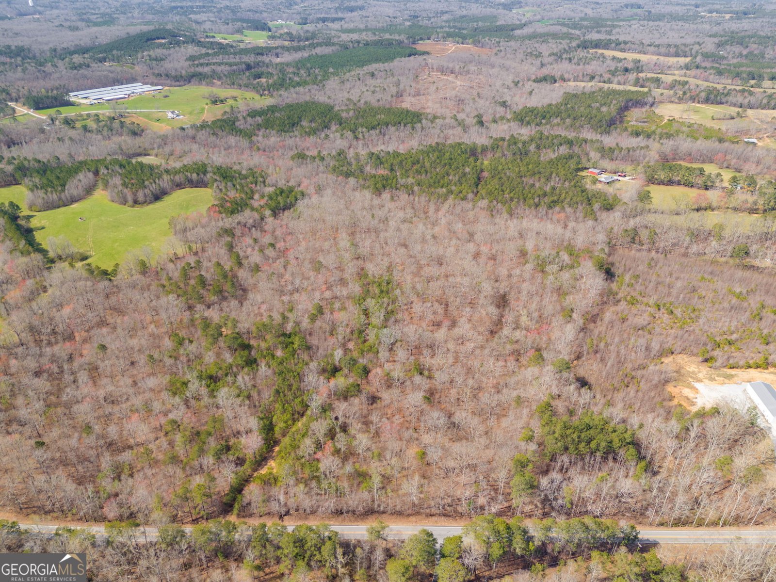 TRACT3 Georgia Highway 100 Buchanan - 51
