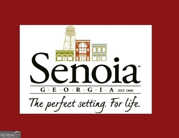 375 Werner Way Senoia - 46