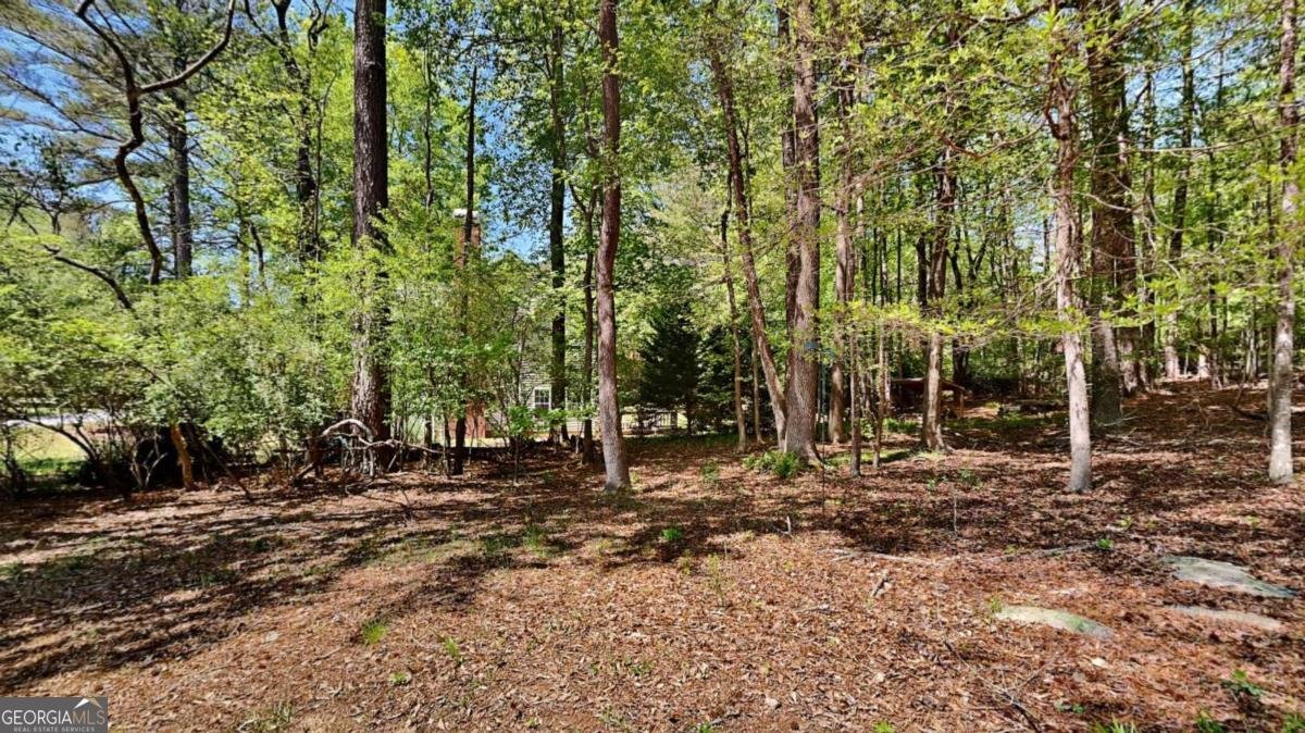 1704 YARBOROUGH Drive Peachtree City - 22