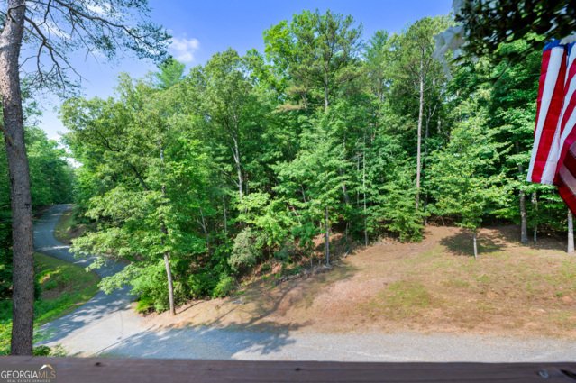 103 Altamaha Drive Ellijay - 21