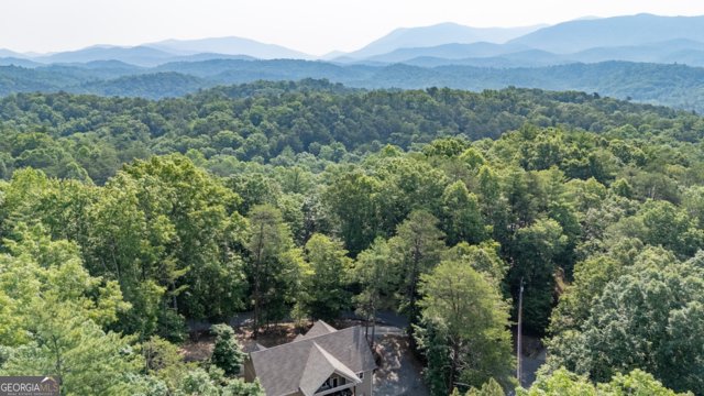 103 Altamaha Drive Ellijay - 3