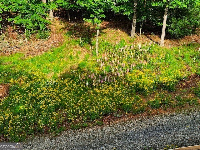 103 Altamaha Drive Ellijay - 47