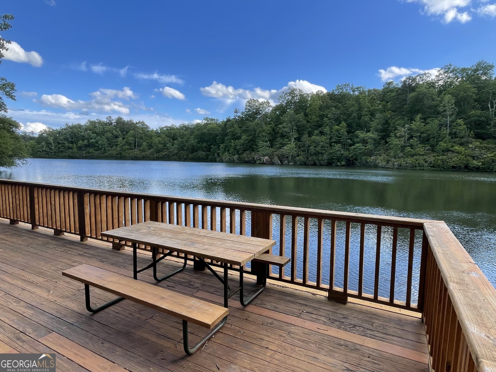 1095 Mountain Shadows Drive Cleveland - 24