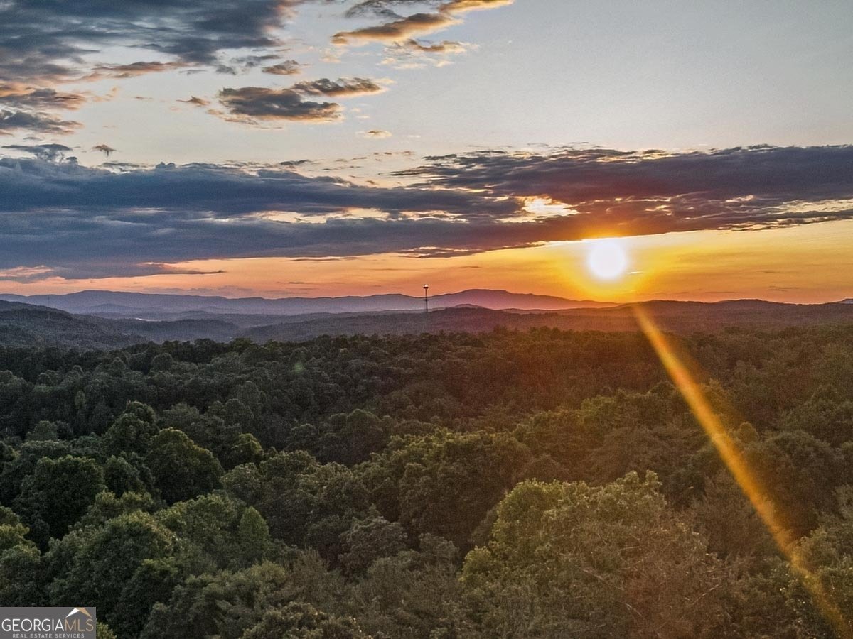 110 Alex Way Blairsville - 3