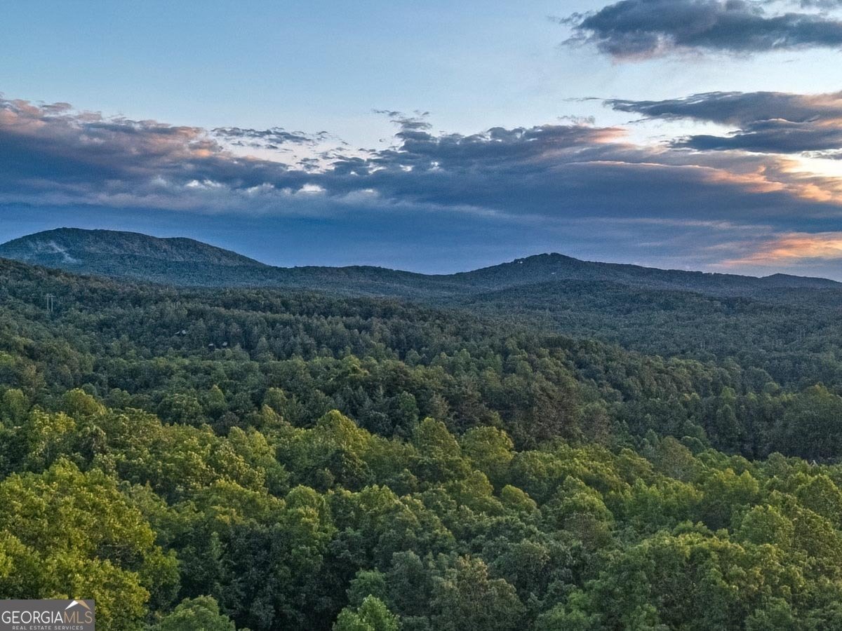 110 Alex Way Blairsville - 38