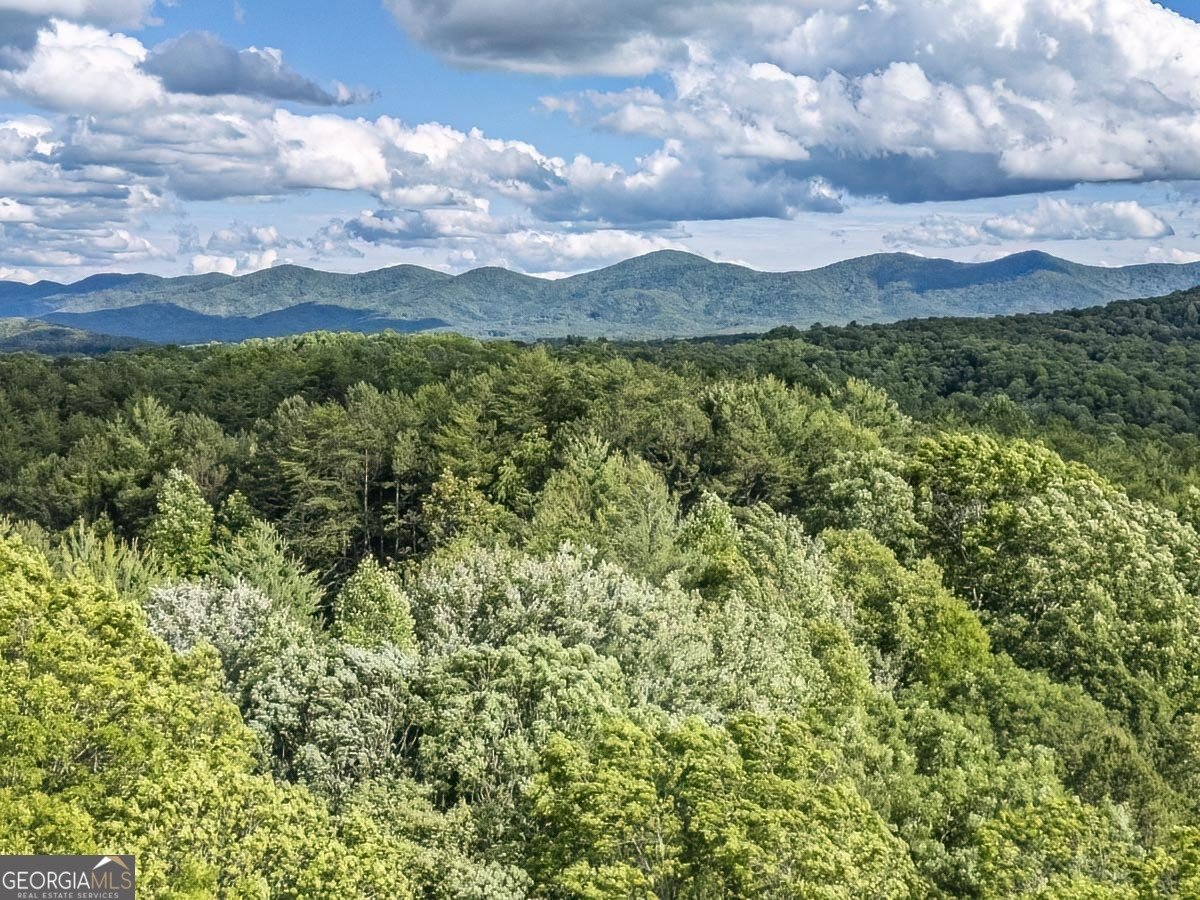 110 Alex Way Blairsville - 39