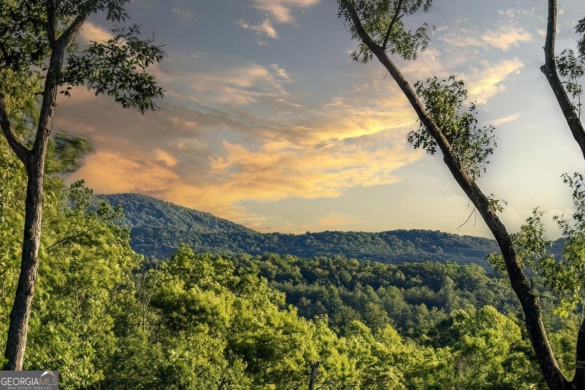 110 Alex Way Blairsville - 40