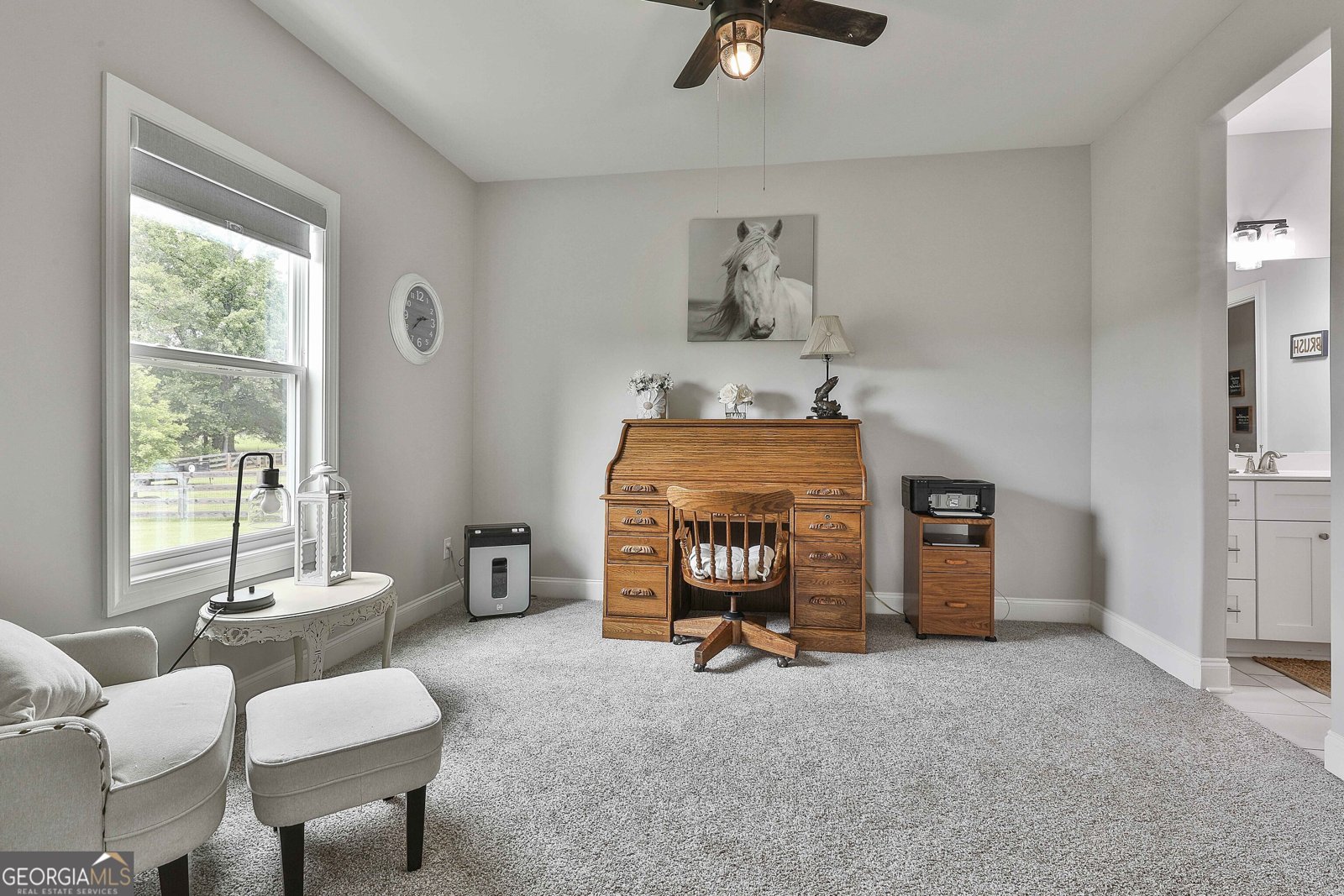 332 Bluff Mill Farms Drive Senoia - 27
