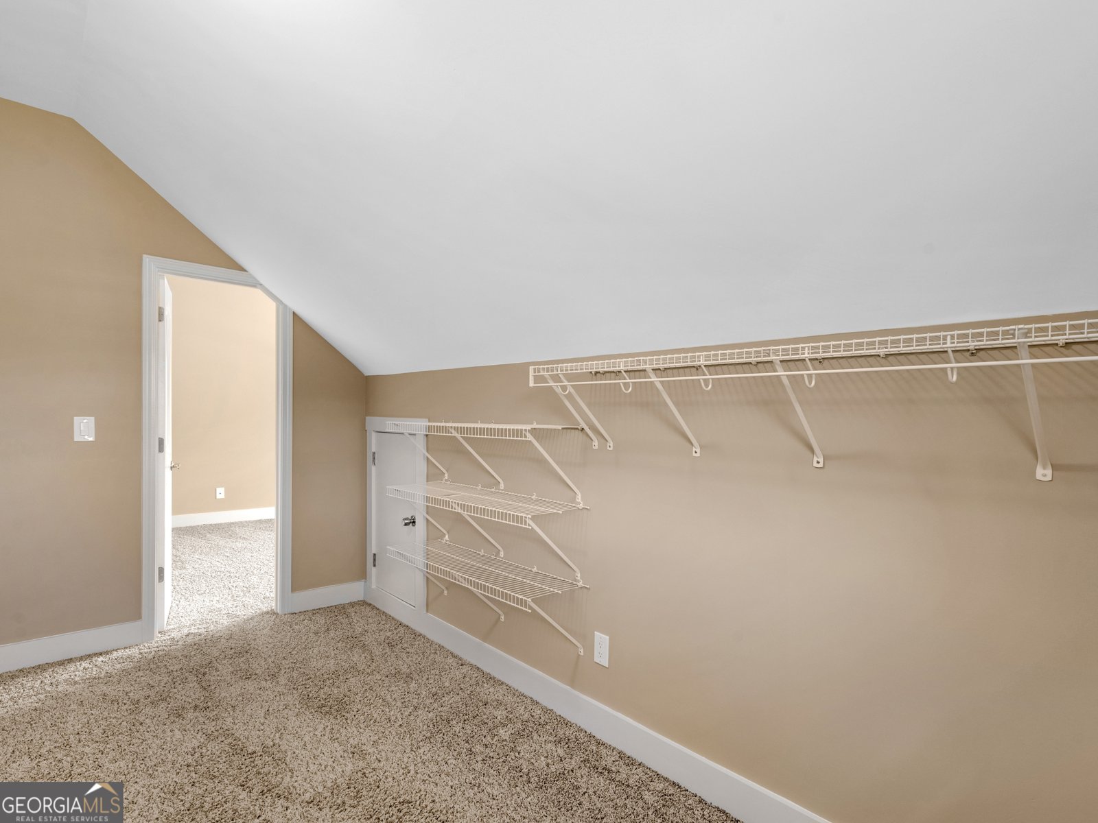 3905 Pointer Road Loganville - 53