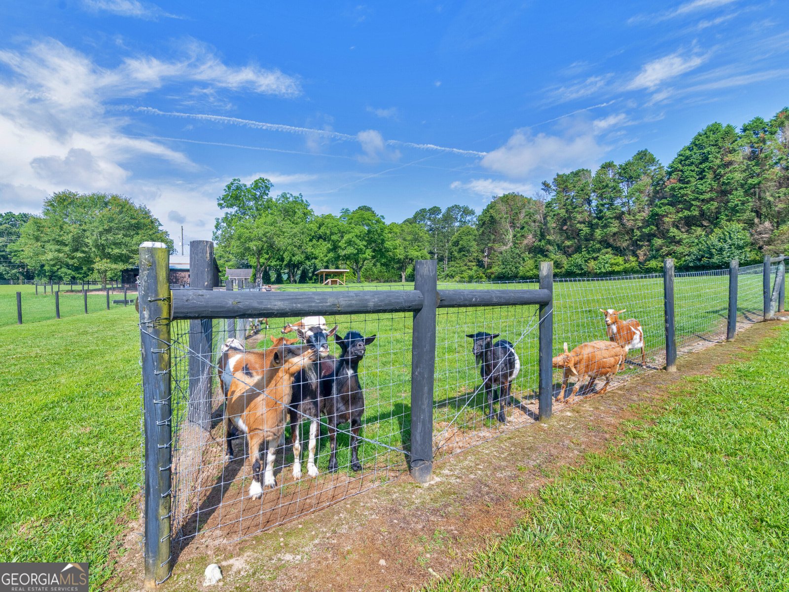 3905 Pointer Road Loganville - 67