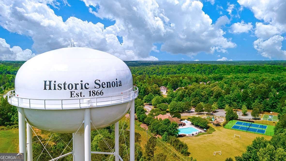 260 Staffin Drive Senoia - 14