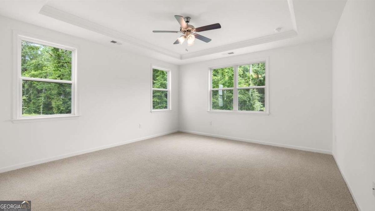 260 Staffin Drive Senoia - 22